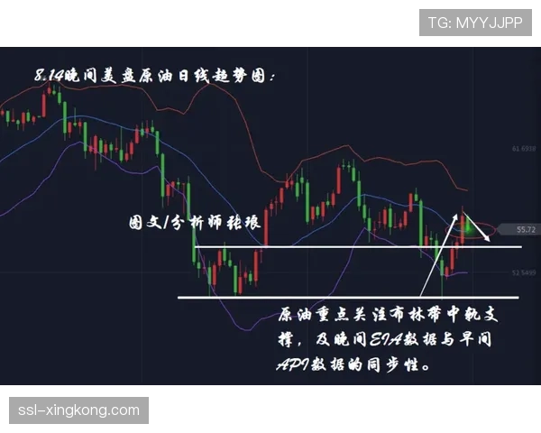 黄蜂可使用中产 1510万美元非纳税人特例额度